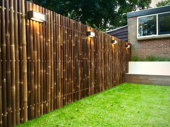 Un gard din bambus este o idee excelenta pentru o gradina moderna, cu aspect luxos.
